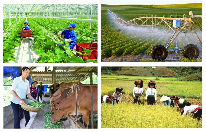 Hà Tĩnh hoàn thành xuất sắc nhiệm vụ tại Hội nghị toàn quốc tổng kết và công bố kết quả sơ bộ Tổng điều tra nông thôn, nông nghiệp năm 2025