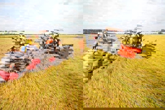 Ban hành Kế hoạch hành động thực hiện Đề án sản xuất giảm phát thải trong trồng trọt trên địa bàn tỉnh Hà Tĩnh