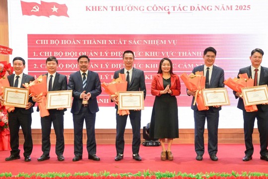 Đảng bộ Công ty Điện lực Hà Tĩnh phát huy vai trò hạt nhân chính trị, dẫn dắt đơn vị phát triển bền vững 