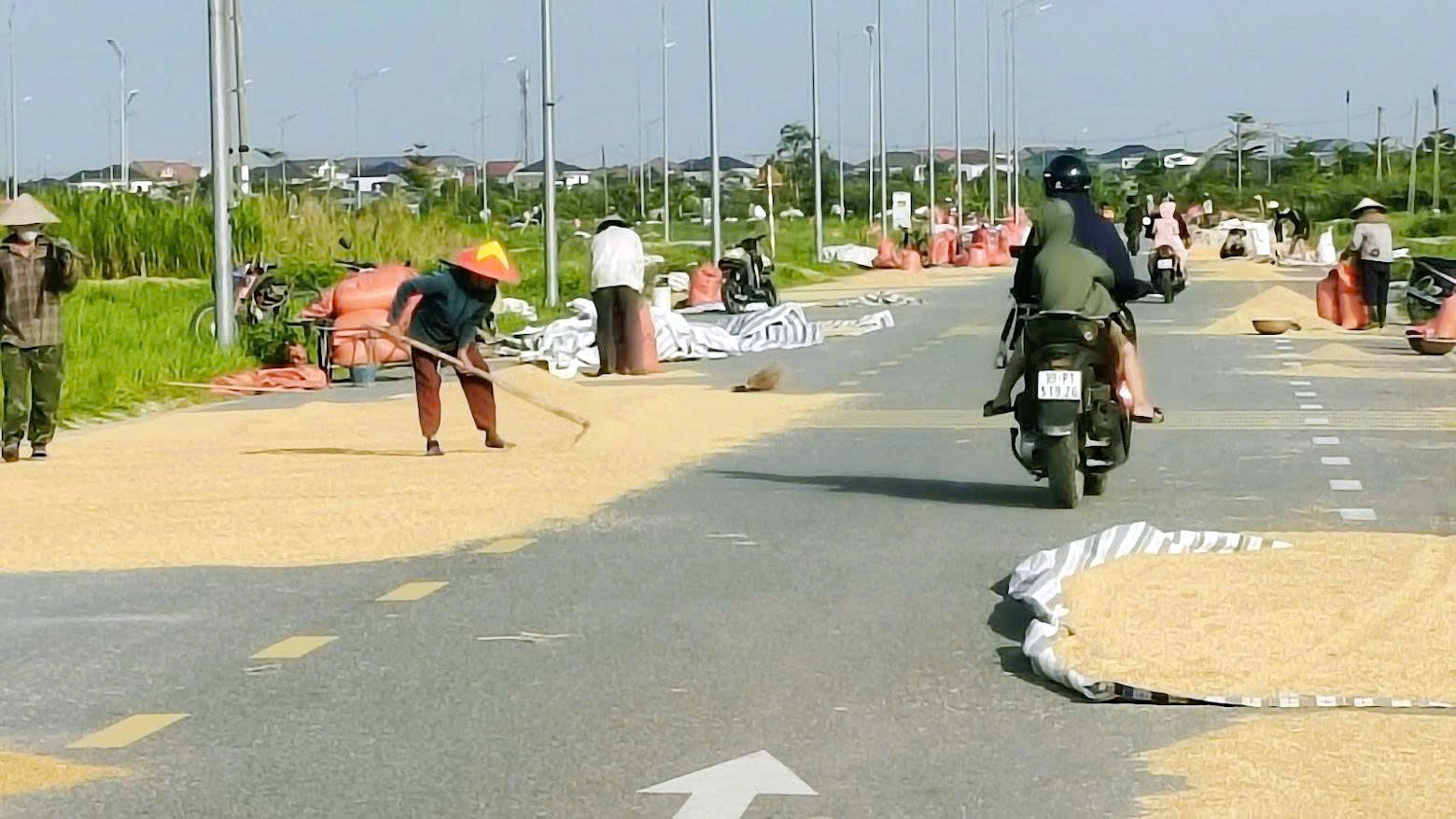 Hà Tĩnh siết chặt xử lý tình trạng phơi nông sản gây mất an toàn giao thông đường bộ