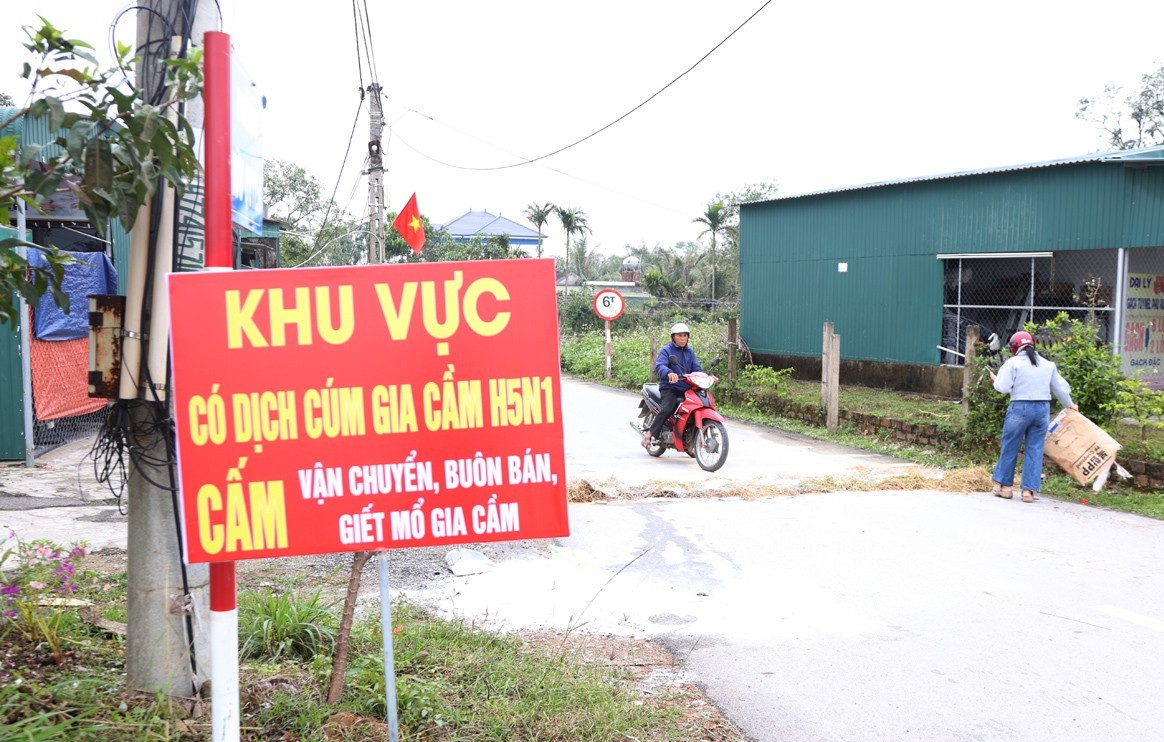 Chủ động triển khai các biện pháp cấp bách phòng, chống dịch Cúm gia cầm