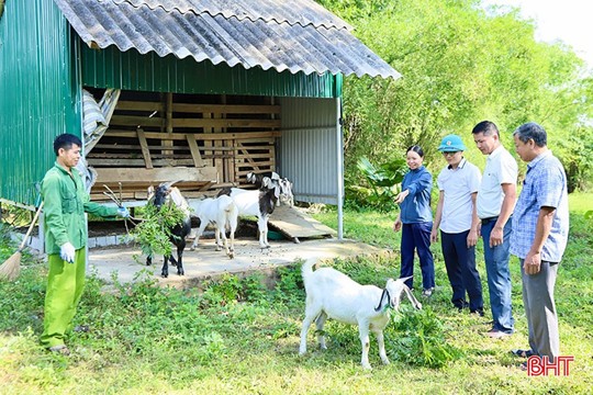 Hà Tĩnh dành hơn 9,8 tỷ đồng hỗ trợ mô hình sinh kế cho người dân
