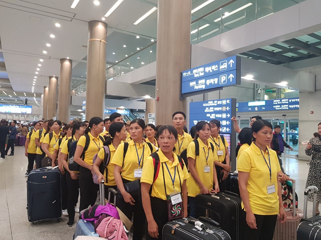 "Sốt" đi Hàn Quốc làm lao động thời vụ