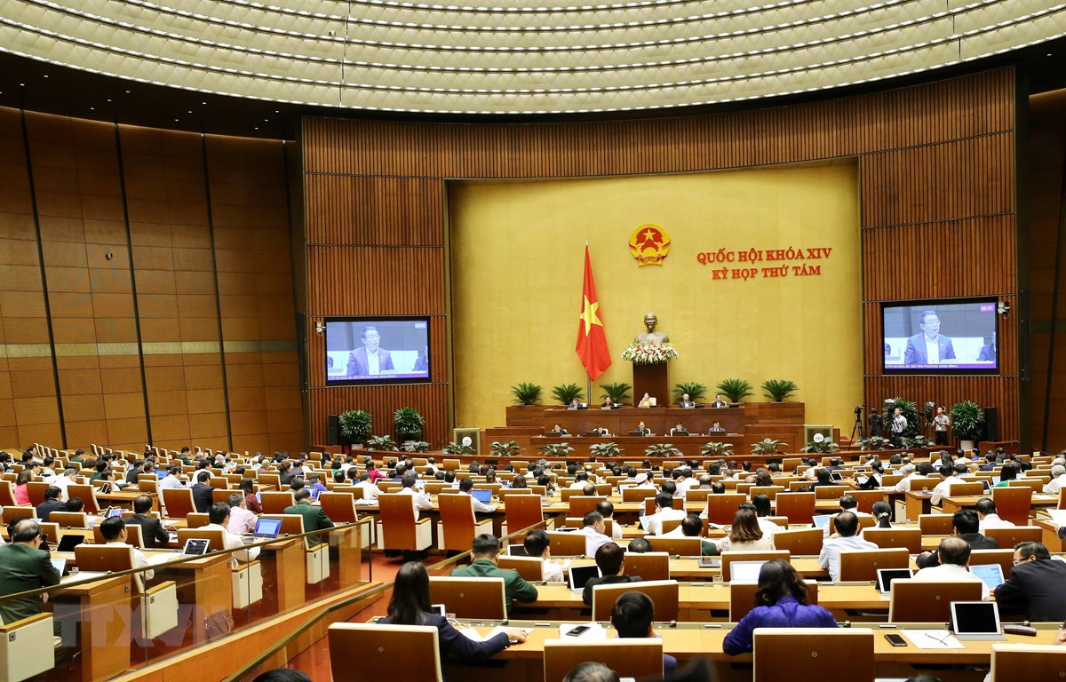 Đại biểu Quốc hội phân tích bức tranh kinh tế - xã hội tổng quan năm 2019