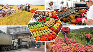 Bảo đảm tính minh bạch trong truy xuất nguồn gốc xúc tiến thương mại