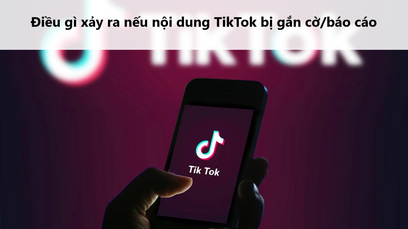 8 bộ, ngành phối hợp kiểm tra toàn diện hoạt động của TikTok tại Việt Nam