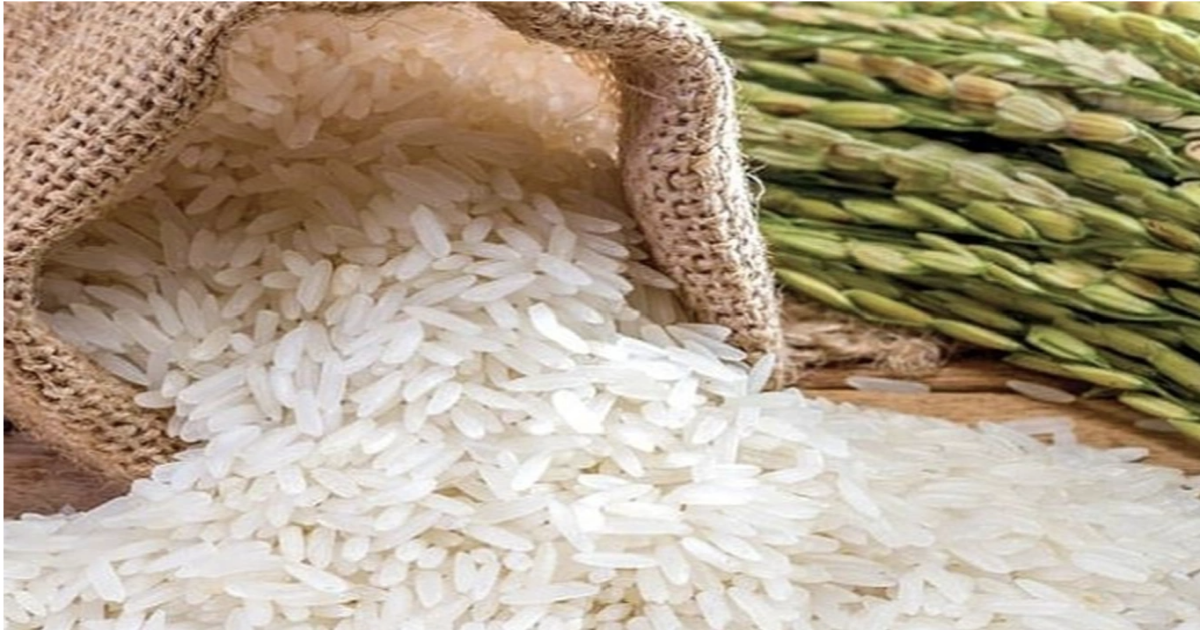 Thủ tướng chỉ đạo xử lý nghiêm trường hợp trục lợi bất chính, đẩy giá lúa gạo lên cao