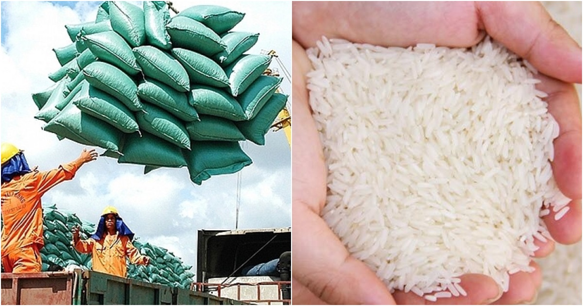 Giá gạo xuất khẩu Việt Nam lập kỷ lục cao nhất trong 10 năm qua