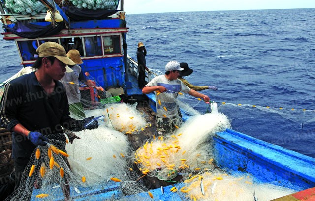Khắc phục các tồn tại trong công tác chống khai thác hải sản bất hợp pháp trên địa bàn tỉnh