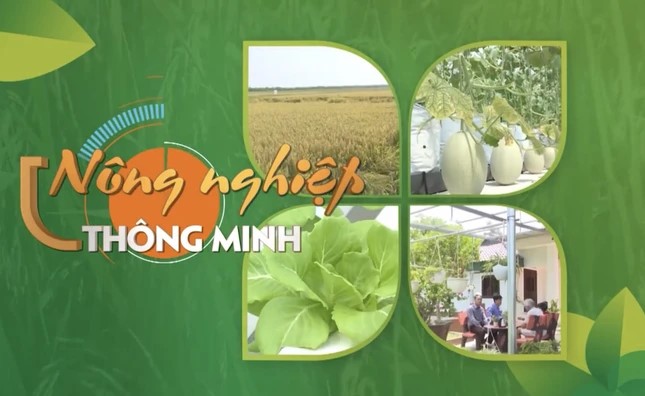 Xuân mới bàn chuyện "Nông nghiệp 4.0"