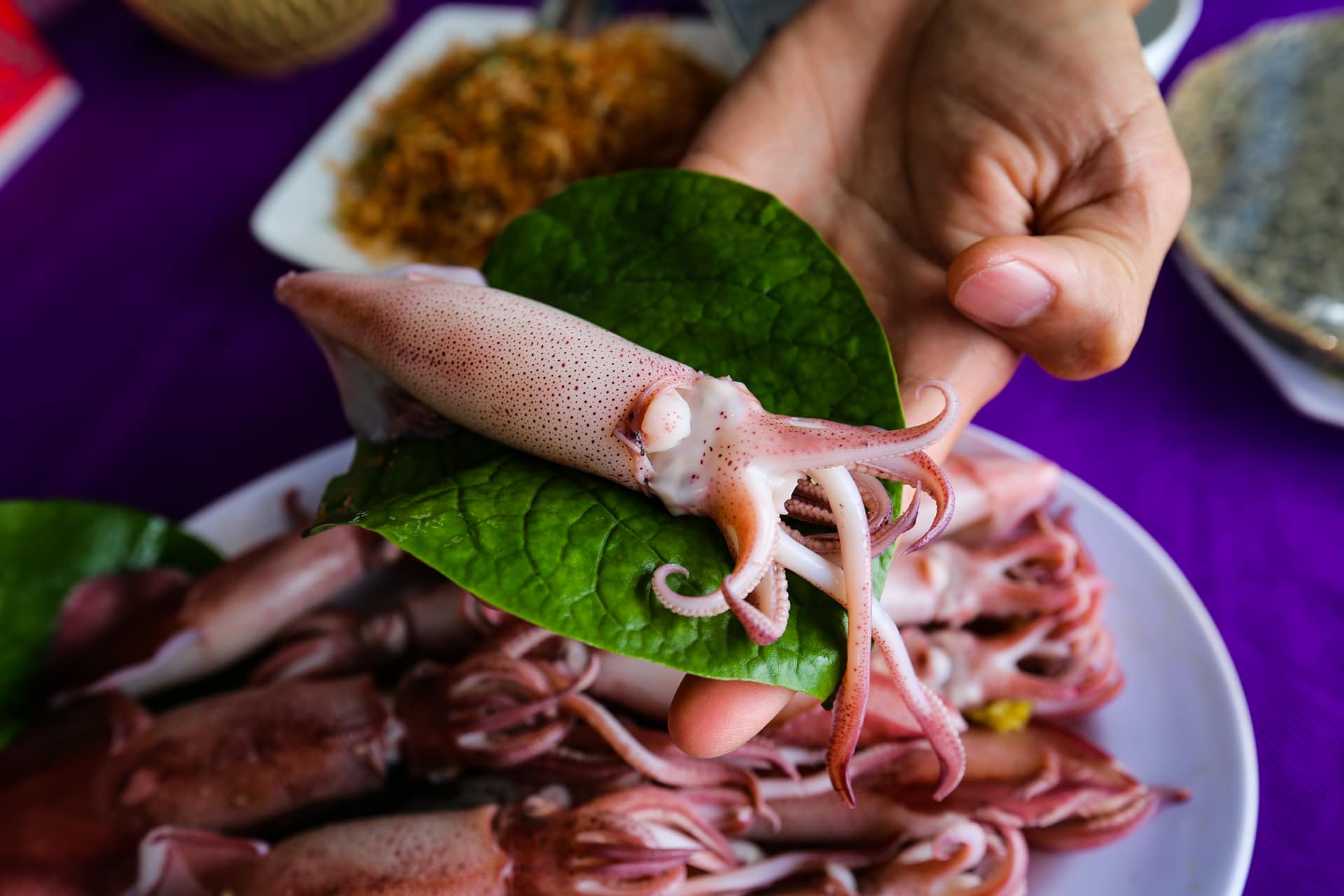 Mực nhảy Vũng Áng - Đặc sản khó cưỡng khi đến Hà Tĩnh