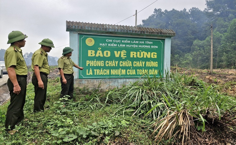 Chủ tịch UBND tỉnh ra Công điện về tăng cường các biện pháp cấp bách phòng cháy, chữa cháy rừng