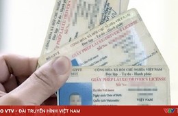 Trình tự thu hồi và 6 trường hợp bị thu hồi giấy phép lái xe từ 1/6/2024
