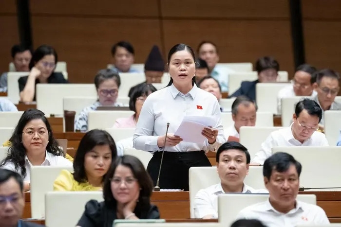 Đại biểu Quốc hội đề nghị thực hiện Luật Đất đai mới ngay trong năm nay