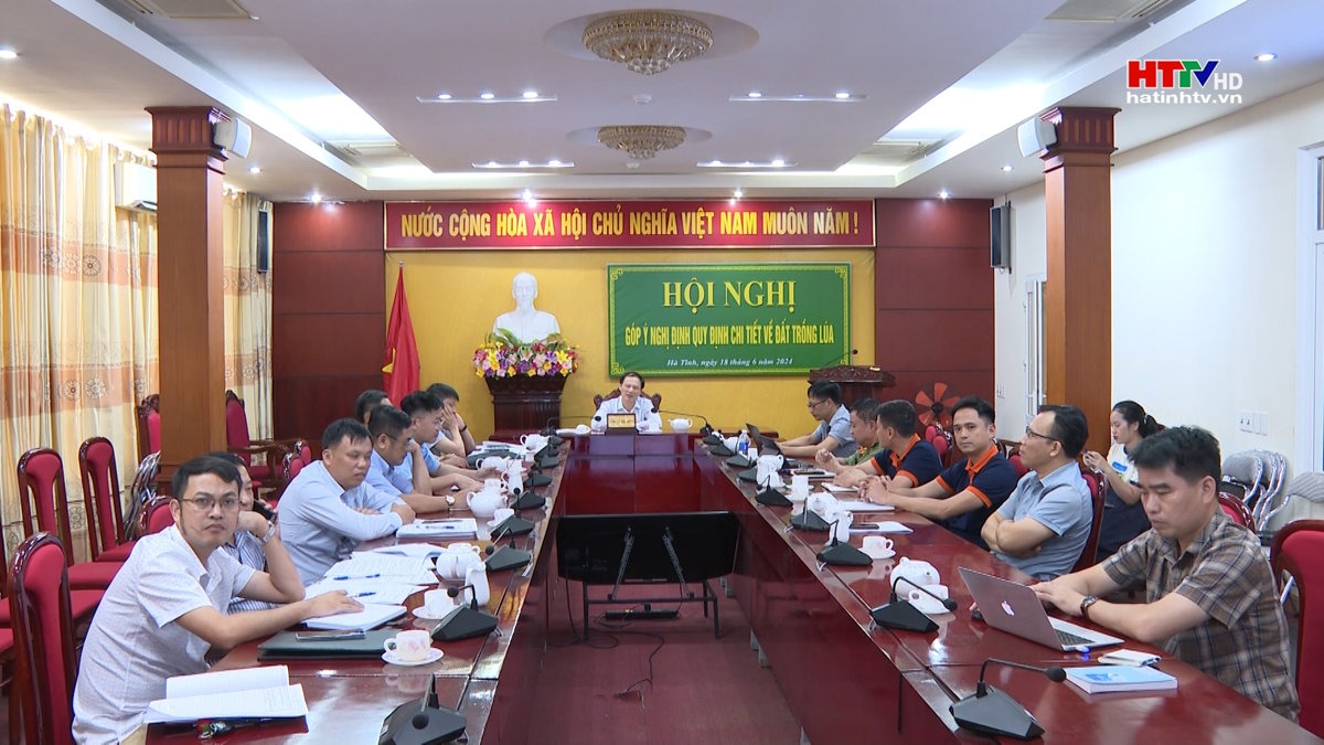 Chính phủ họp nghị bàn về Nghị định quy định đất trồng lúa