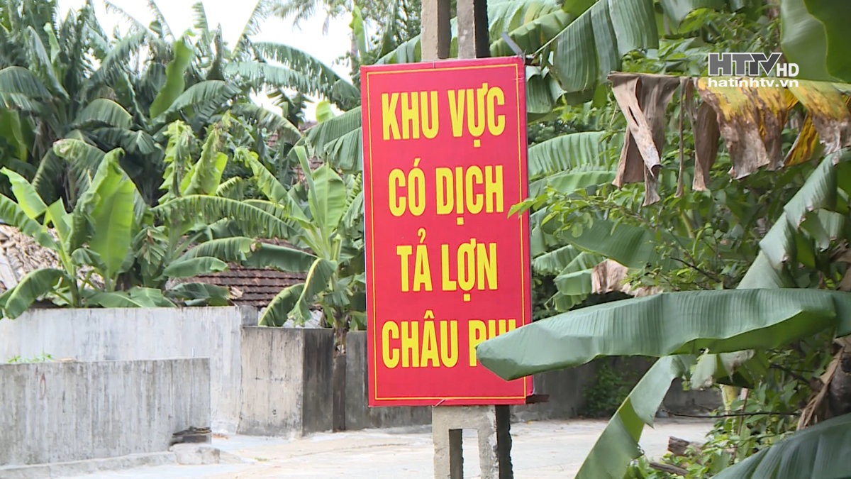 Hà Tĩnh quyết liệt phòng chống dịch tả lợn châu Phi