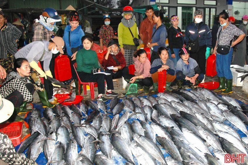 Ngư dân phấn khởi khai thác vụ cá quan trọng nhất trong năm