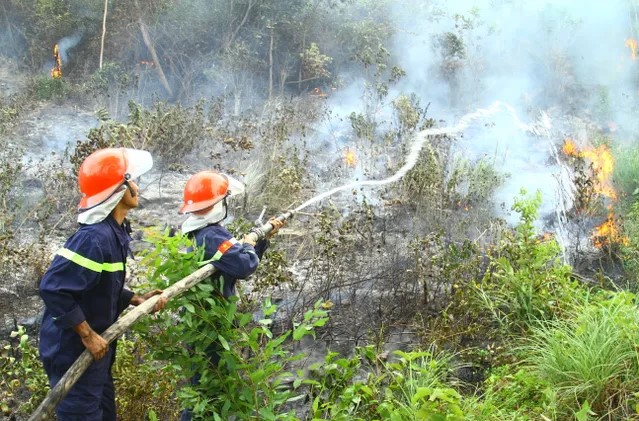 Quảng Bình: Đã khống chế vụ cháy rừng tại Đèo Ngang