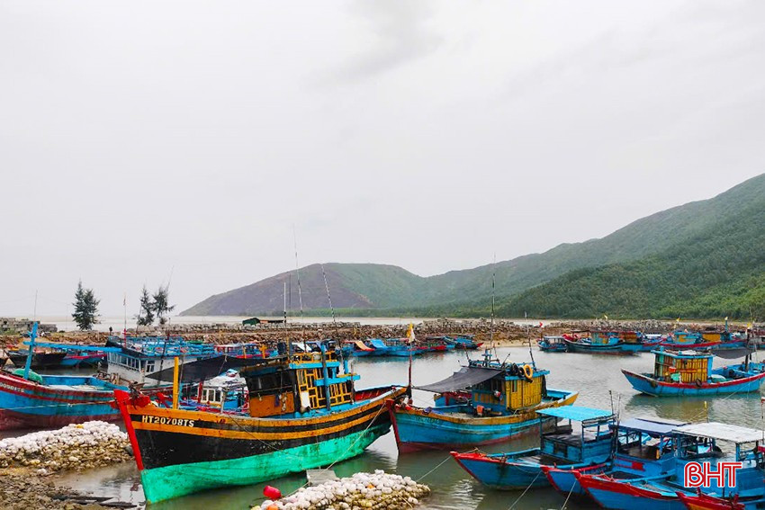 3.056 tàu thuyền của Hà Tĩnh vào nơi tránh trú, di chuyển tới vùng an toàn