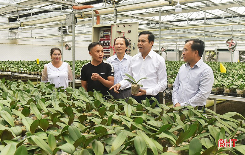 Hà Tĩnh quyết tâm cải thiện bộ chỉ số đổi mới sáng tạo