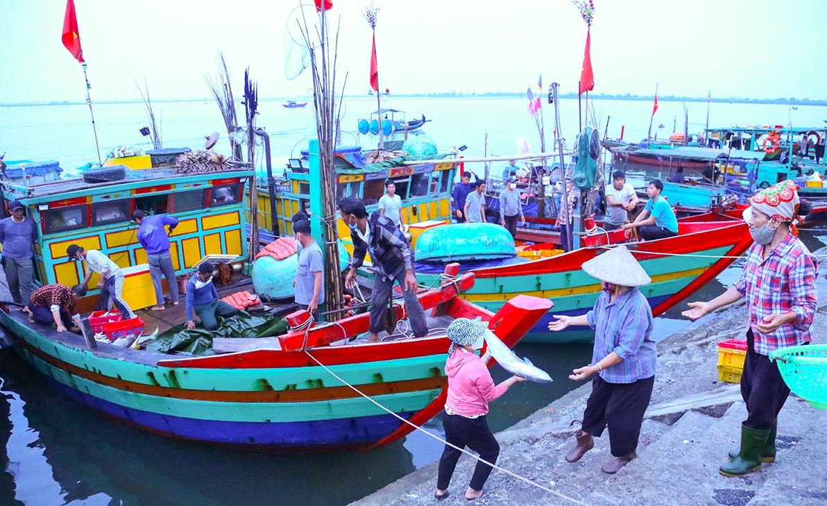 Hà Tĩnh: Sản lượng thủy sản 8 tháng đạt gần 40 ngàn tấn