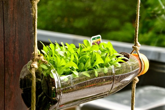 Làm thế nào để xử lý rác thải nhựa hiệu quả nhất?