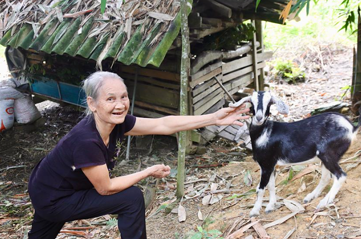 Vũ Quang: Đa dạng mô hình sinh kế giúp người dân ổn định cuộc sống