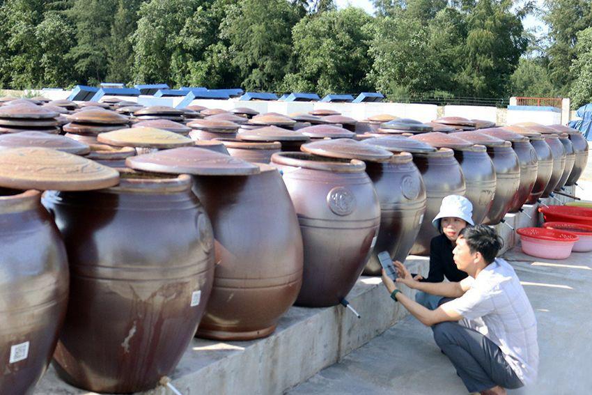 Hà Tĩnh: 237 hợp tác xã tham gia đóng nộp bảo hiểm cho thành viên và người lao động