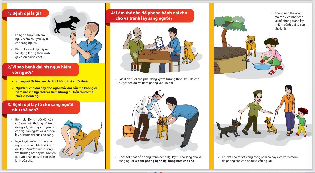 Không chủ quan khi bị chó, mèo cắn, cào cấu