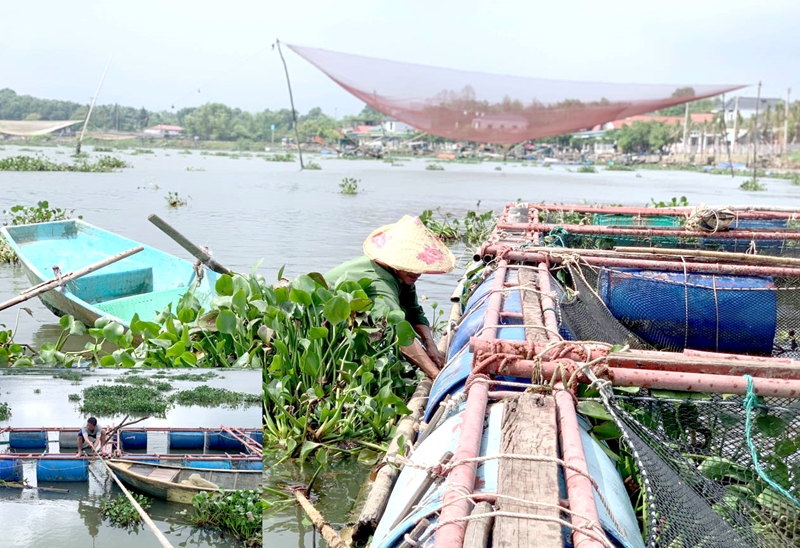 Hạn chế sử dụng thuốc kháng sinh, hóa chất và dịch bệnh trong nuôi trồng thủy sản
