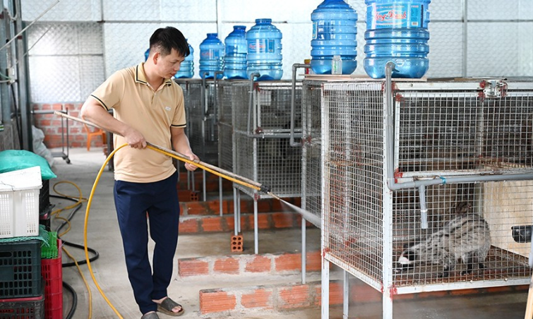 Nông dân Hương Khê quyết làm giàu từ nuôi chồn hương