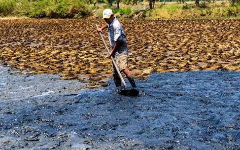 Thủ tướng chỉ đạo chủ động phòng, chống hạn hán, thiếu nước, xâm nhập mặn
