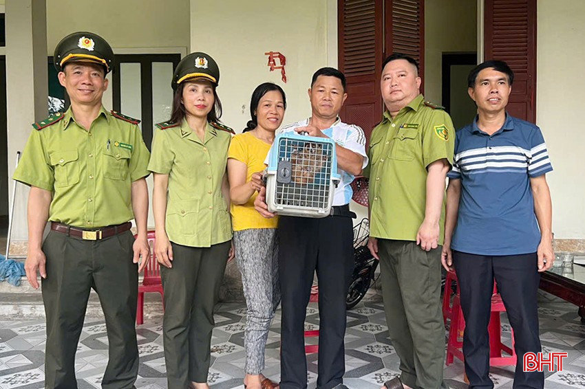 Giao nộp cu li quý hiếm cho cơ quan kiểm lâm