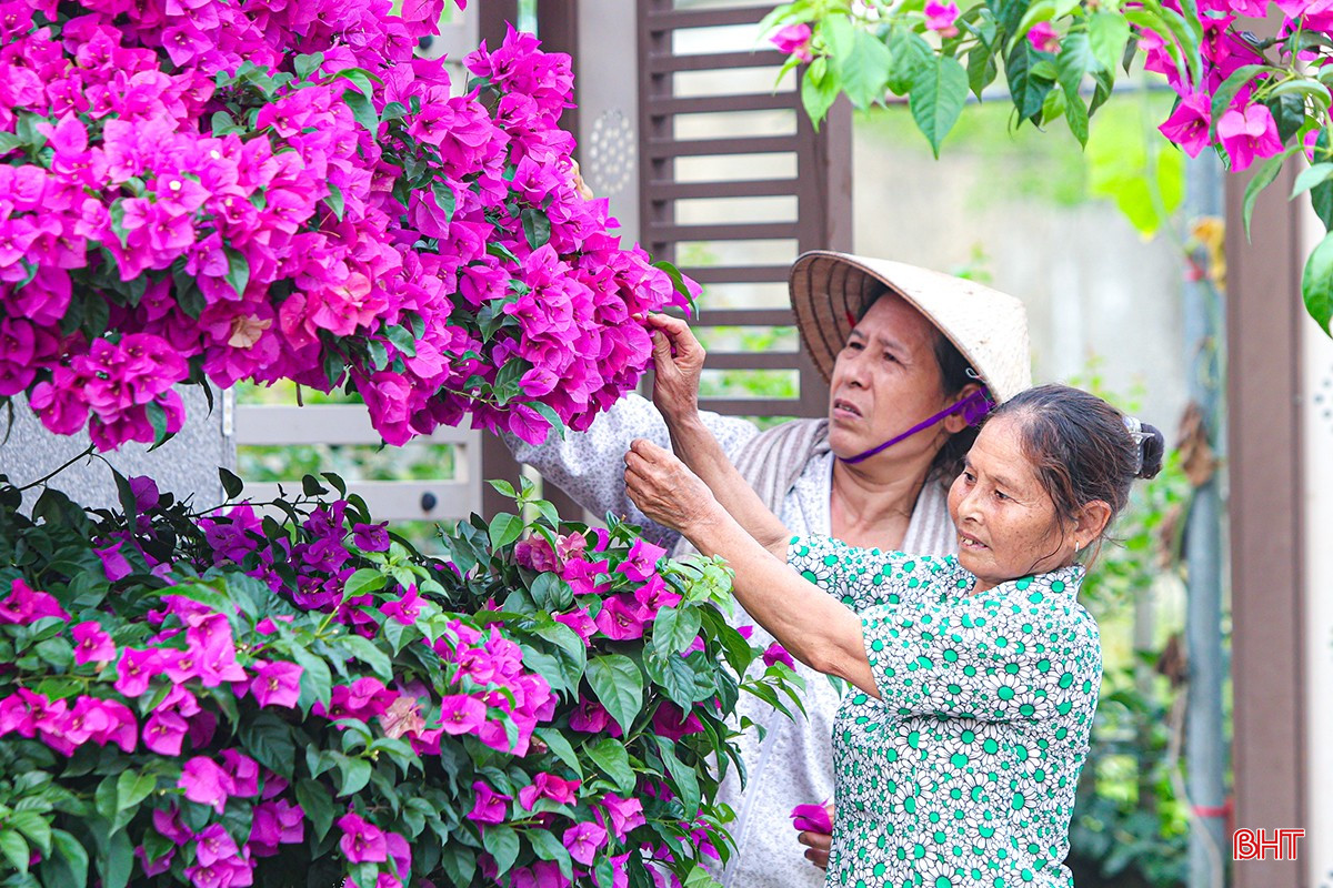 Rực rỡ sắc màu ở khu dân cư nông thôn mới kiểu mẫu Việt Yên