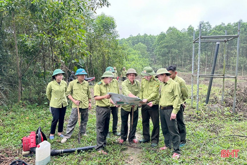 Giữ màu xanh cho những cánh rừng