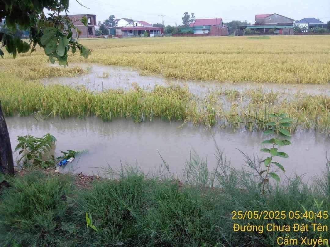 Hà Tĩnh ban hành công điện khẩn ứng phó, khắc phục thiệt hại do mưa lũ trên địa bàn tỉnh