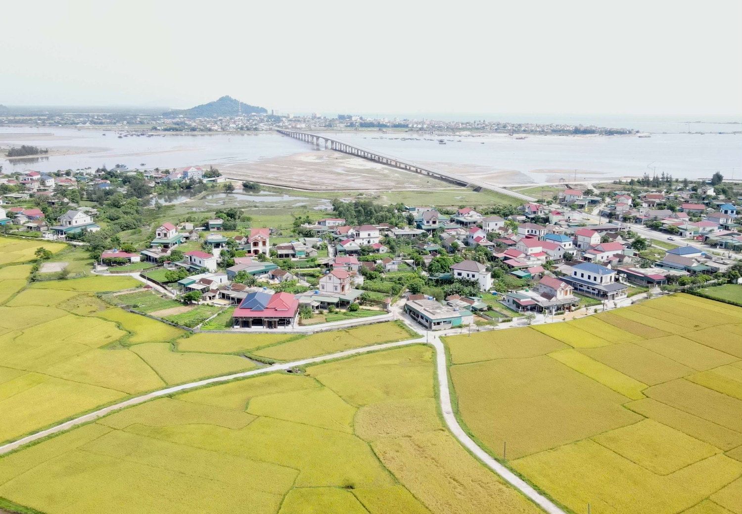 Ban Thường vụ Tỉnh ủy chỉ thị tăng cường lãnh đạo, chỉ đạo sản xuất vụ Hè Thu năm 2025