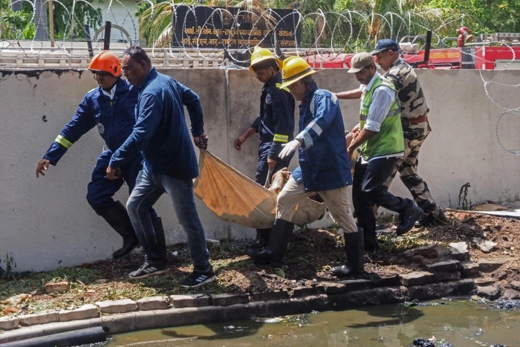 Số người chết trong vụ rơi máy bay Ấn Độ tăng lên 265