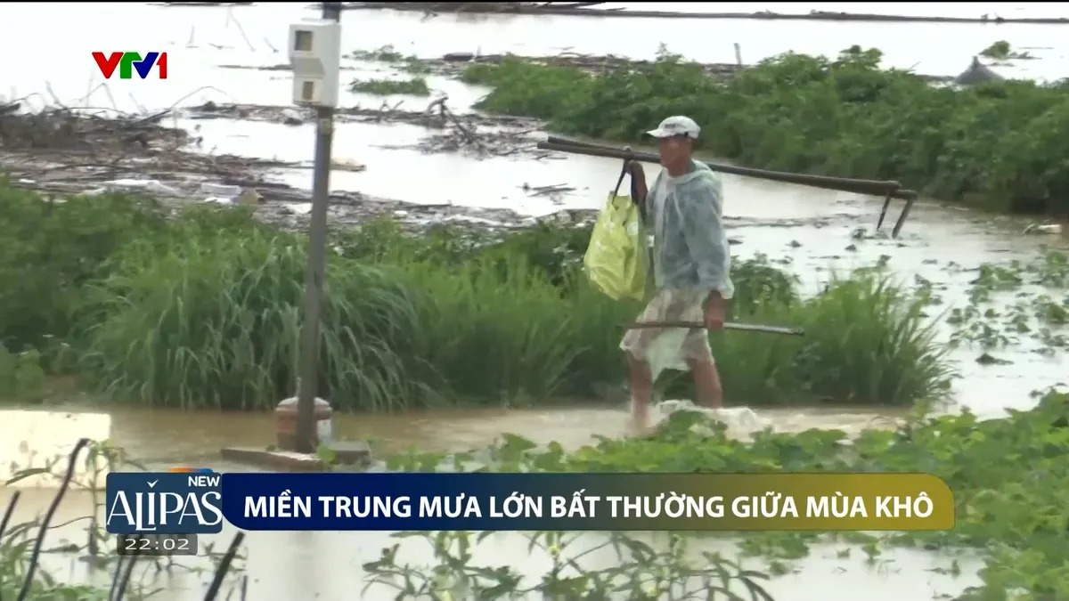 Vì sao thời tiết năm 2025 ở Việt Nam bất thường, khó dự đoán?