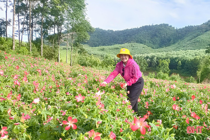 Nghị quyết 57 - đòn bẩy chuyển đổi số ngành nông nghiệp