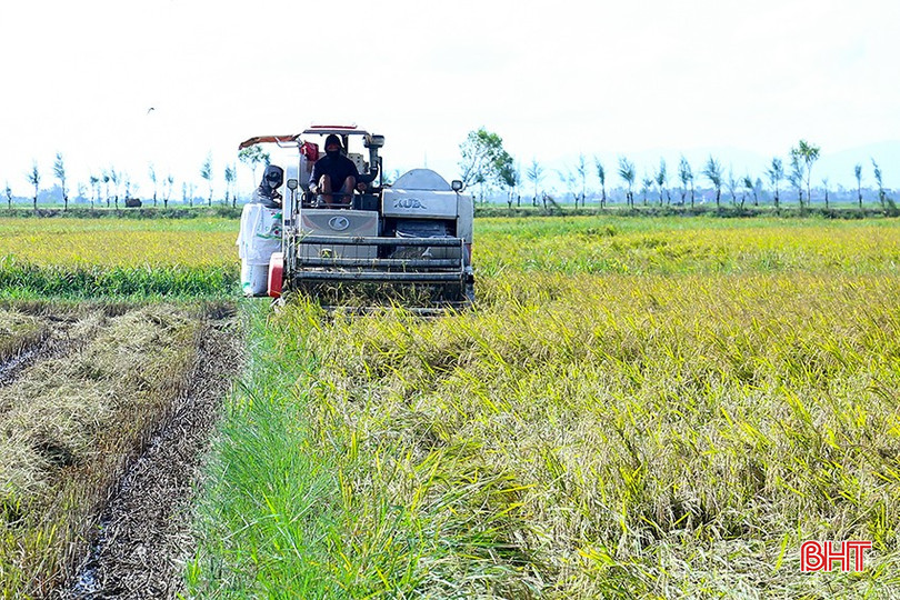 Công nghệ tưới ngập - khô xen kẽ trong canh tác lúa giảm phát thải