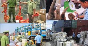 Kiện toàn Ban Chỉ đạo 389 tỉnh nhằm nâng cao hiệu quả đấu tranh chống buôn lậu, gian lận thương mại và hàng giả trên địa bàn tỉnh Hà Tĩnh
