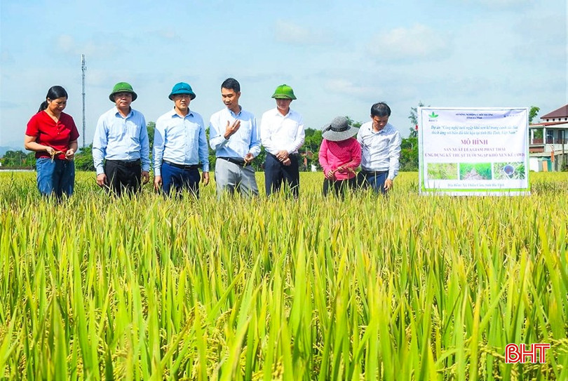 Hà Tĩnh nhân rộng mô hình lúa tưới khô – ướt xen kẽ, hướng đến 5.000 ha vụ xuân 2026