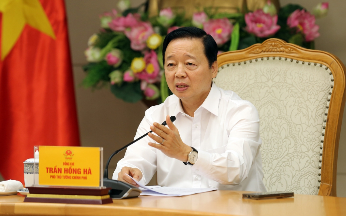 Phó Thủ tướng yêu cầu xây dựng cơ sở dữ liệu đất đai "đúng, đủ, sạch, sống"