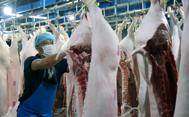 Dịch tả lợn châu Phi đã được khống chế