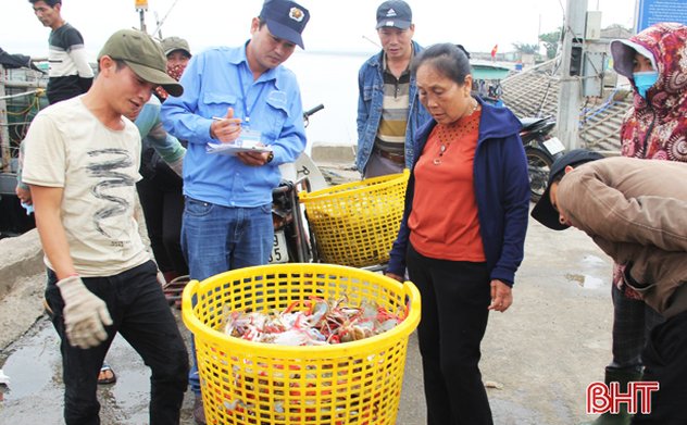 Thiếu đầu tư, các cảng cá Hà Tĩnh gặp khó trong khắc phục “thẻ vàng”