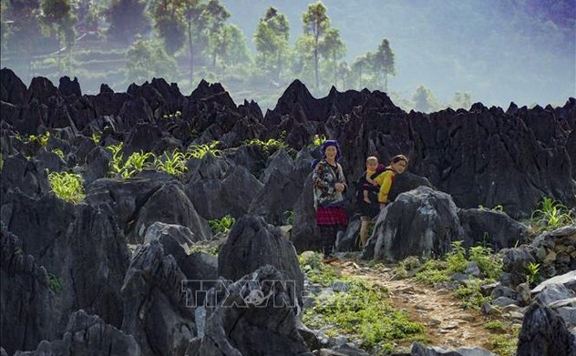 Quảng bá điểm đến du lịch Việt Nam với bạn bè Đức 