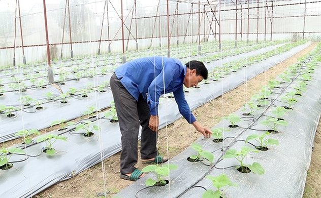 Nông nghiệp đô thị và giải pháp chuyển đổi số trong nông nghiệp đô thị tại Thành phố Hà Tĩnh