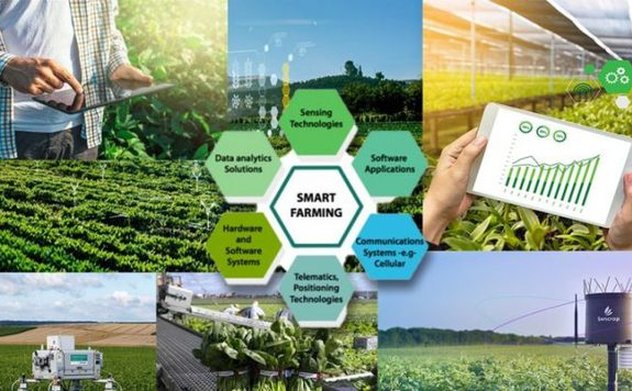 Chuyển đổi số hướng tới nông thôn mới thông minh