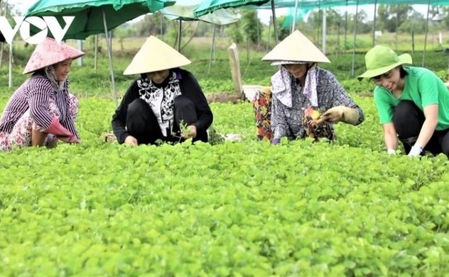 Nông dân - Vị thế người làm chủ nông nghiệp, nông thôn